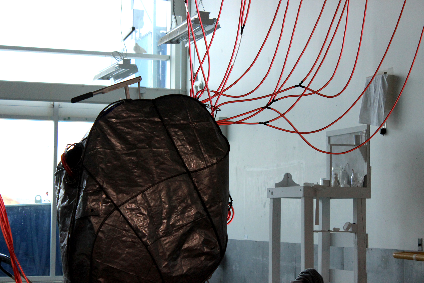 Detail photo of Ada Denil's sculpture of a heart and vascular system