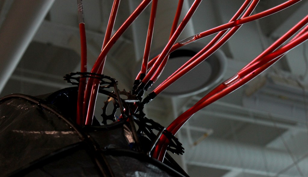 Detail photo of Ada Denil's sculpture of a heart and vascular system