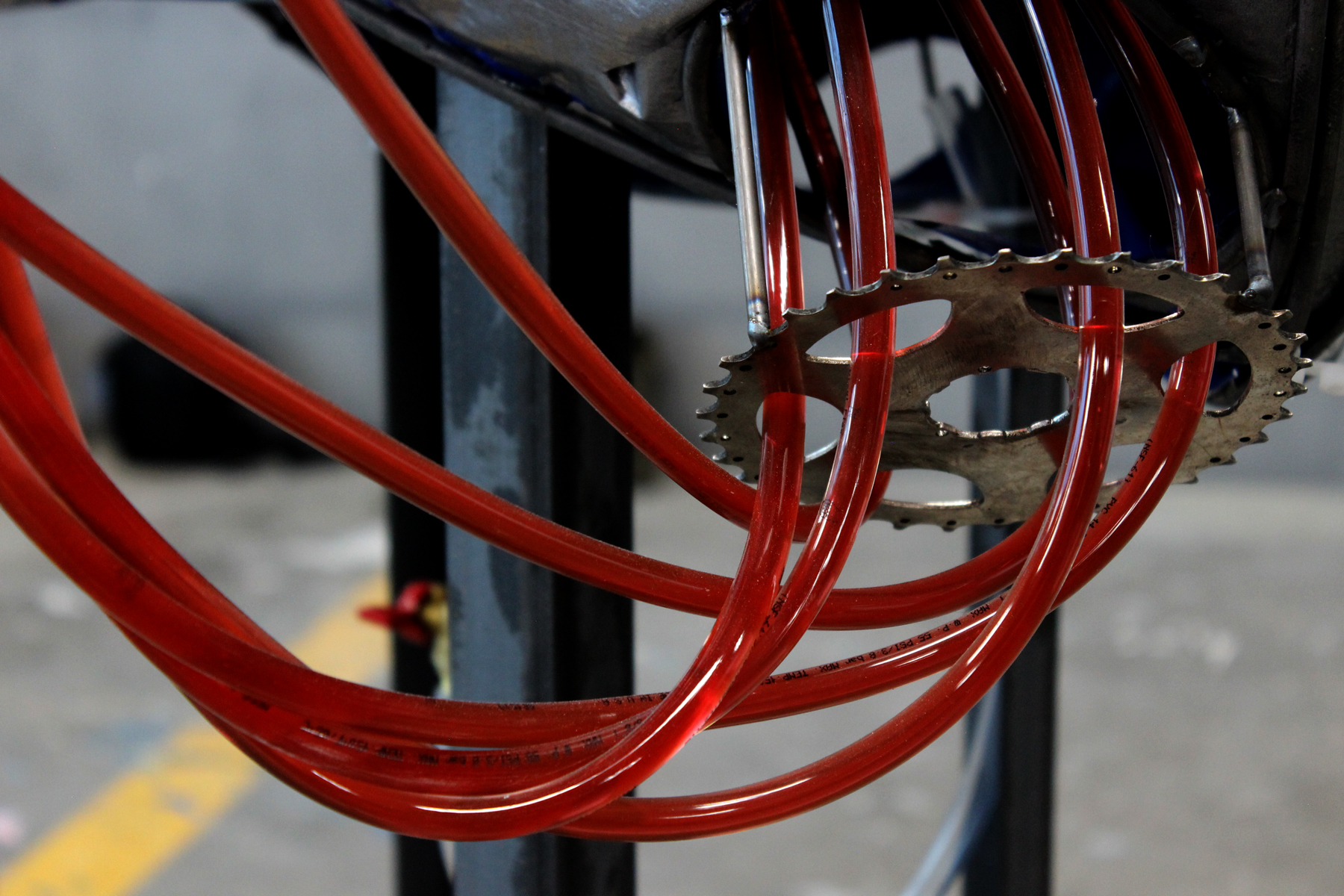 Detail photo of Ada Denil's sculpture of a heart and vascular system