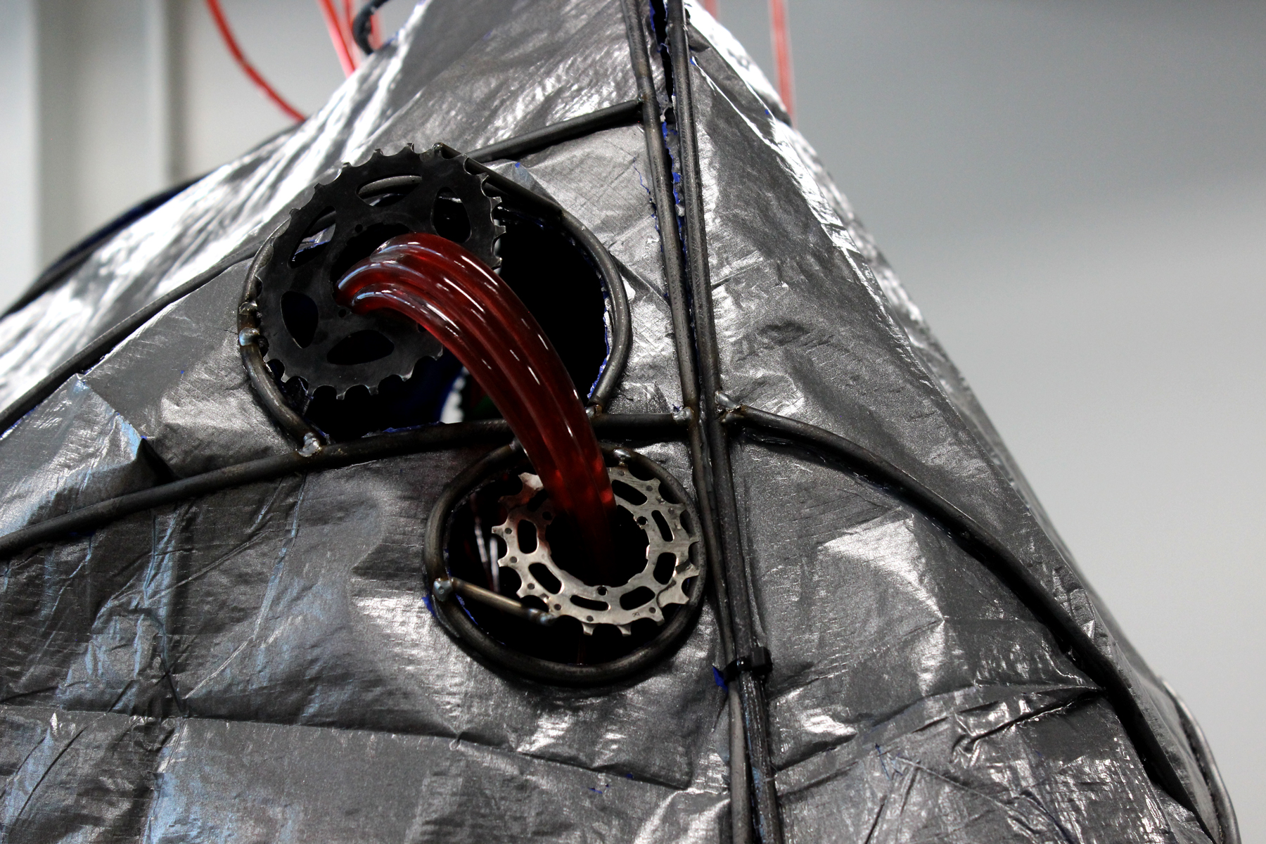 Detail photo of Ada Denil's sculpture of a heart and vascular system