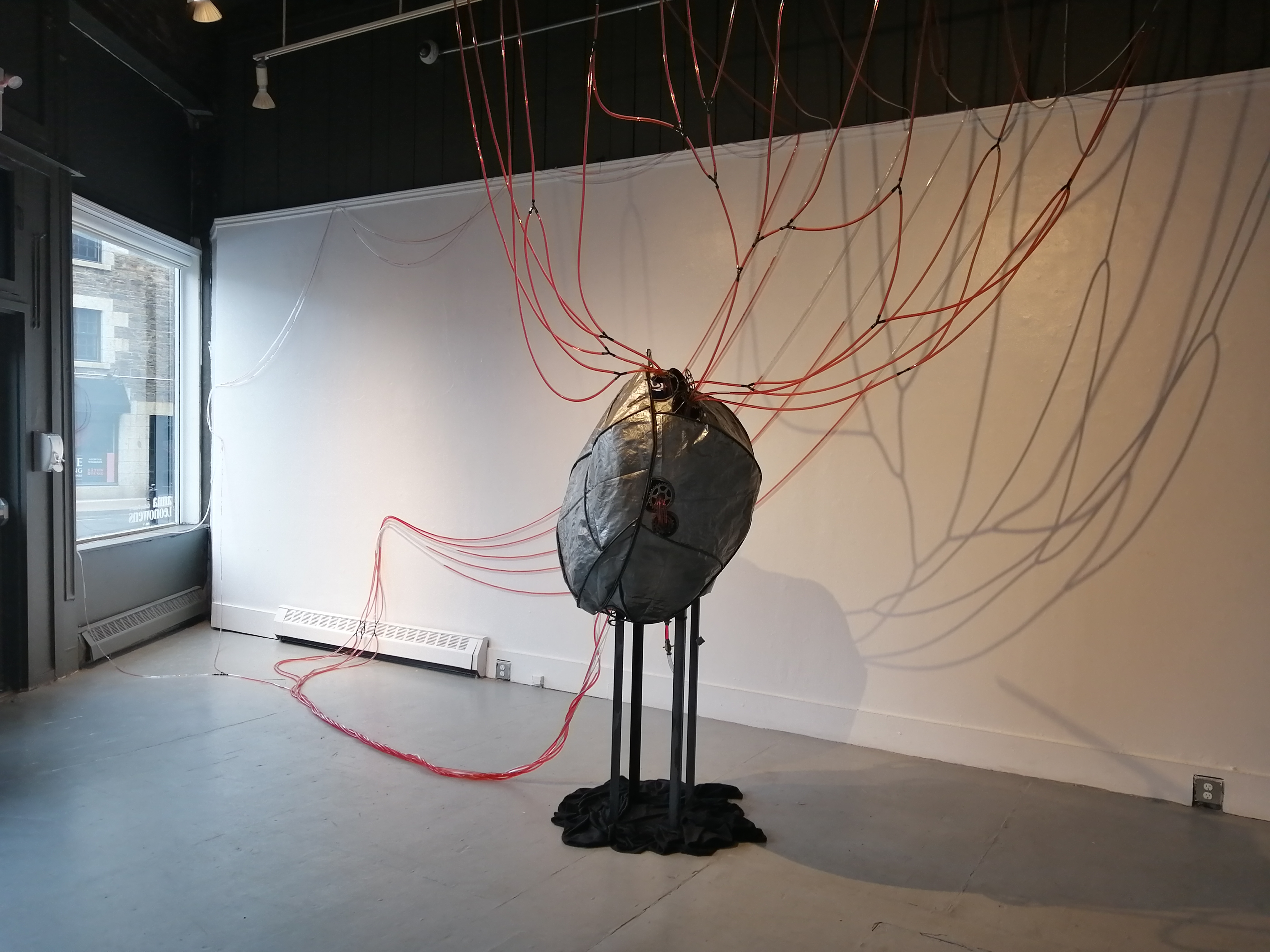 Installation by Ada Denil at the Anna Leonowens Gallery in 2020