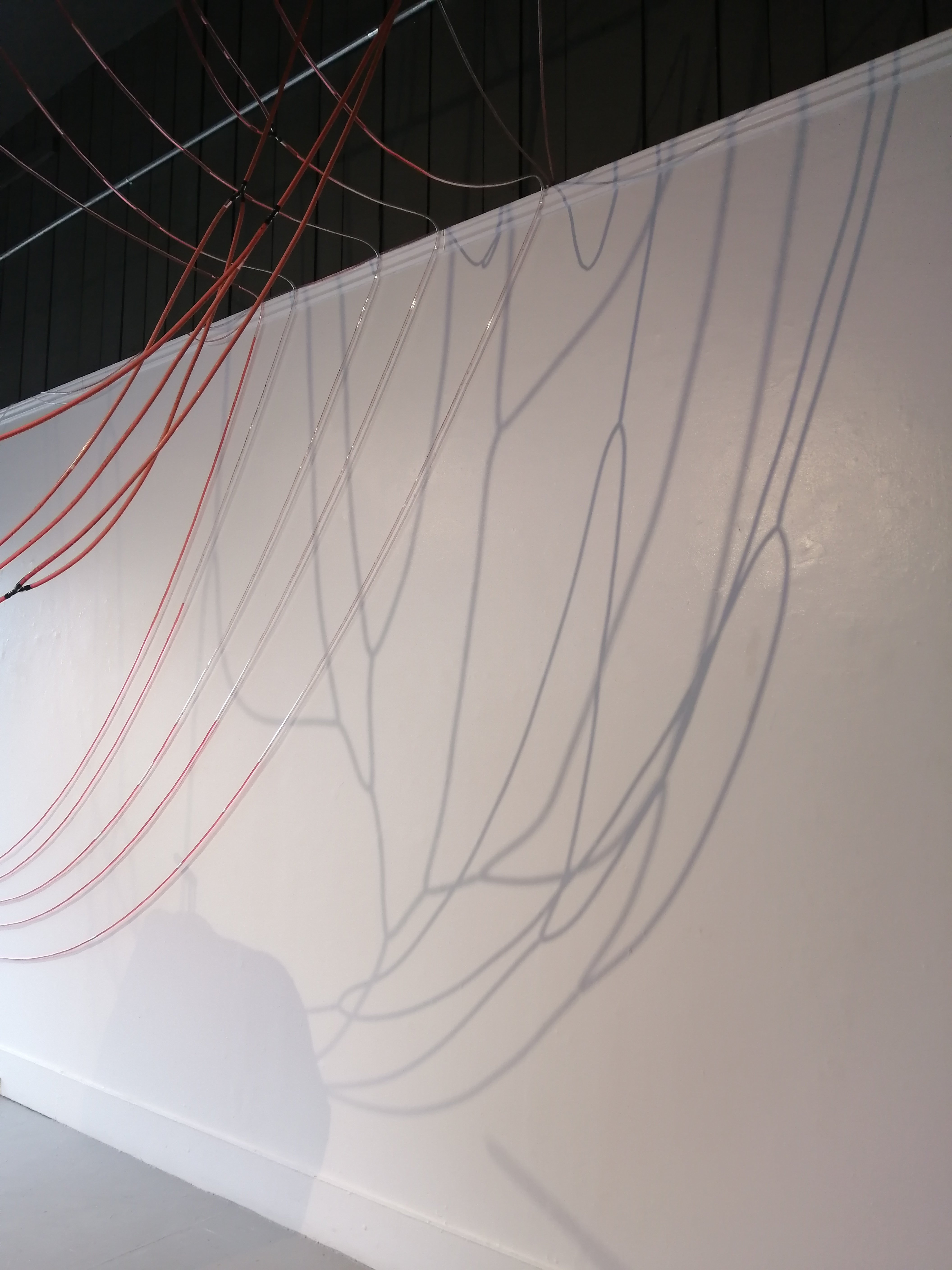 Installation by Ada Denil at the Anna Leonowens Gallery in 2020