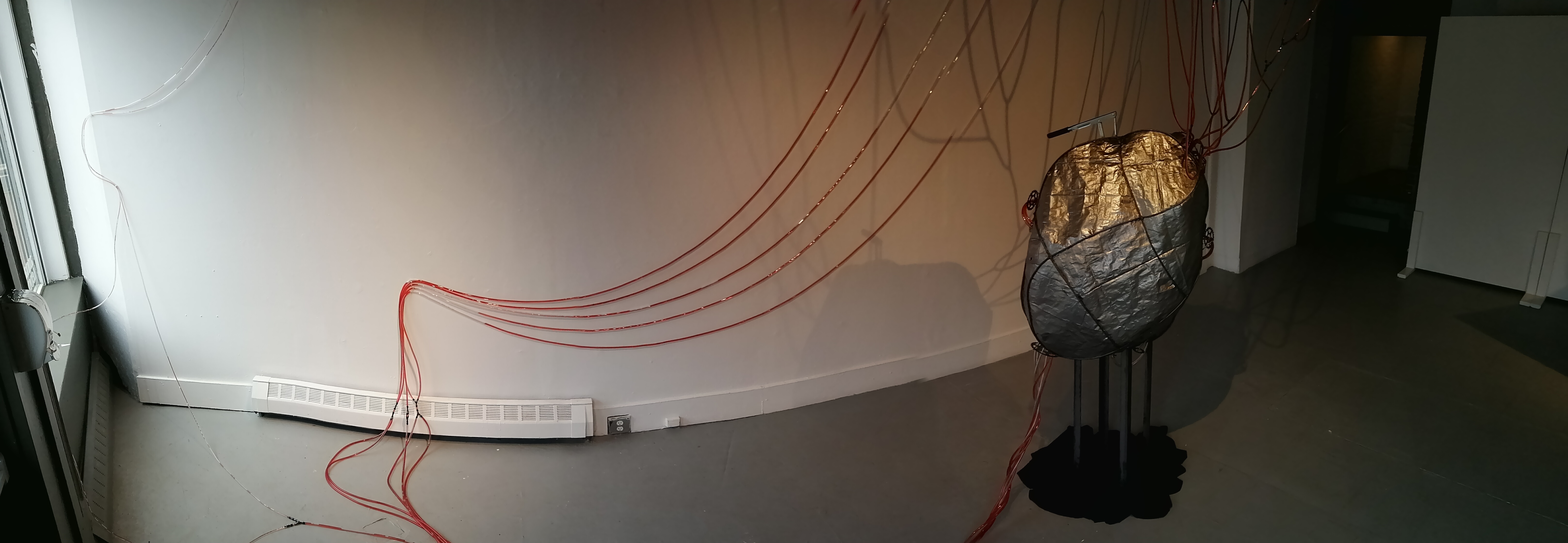 Installation by Ada Denil at the Anna Leonowens Gallery in 2020