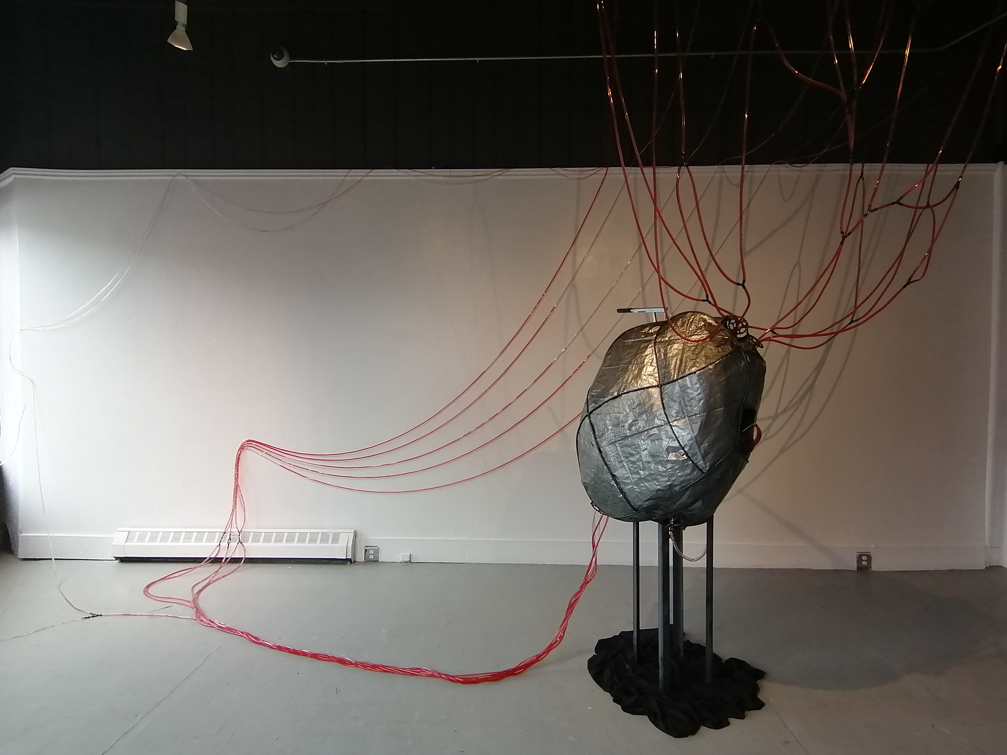 Installation by Ada Denil at the Anna Leonowens Gallery in 2020