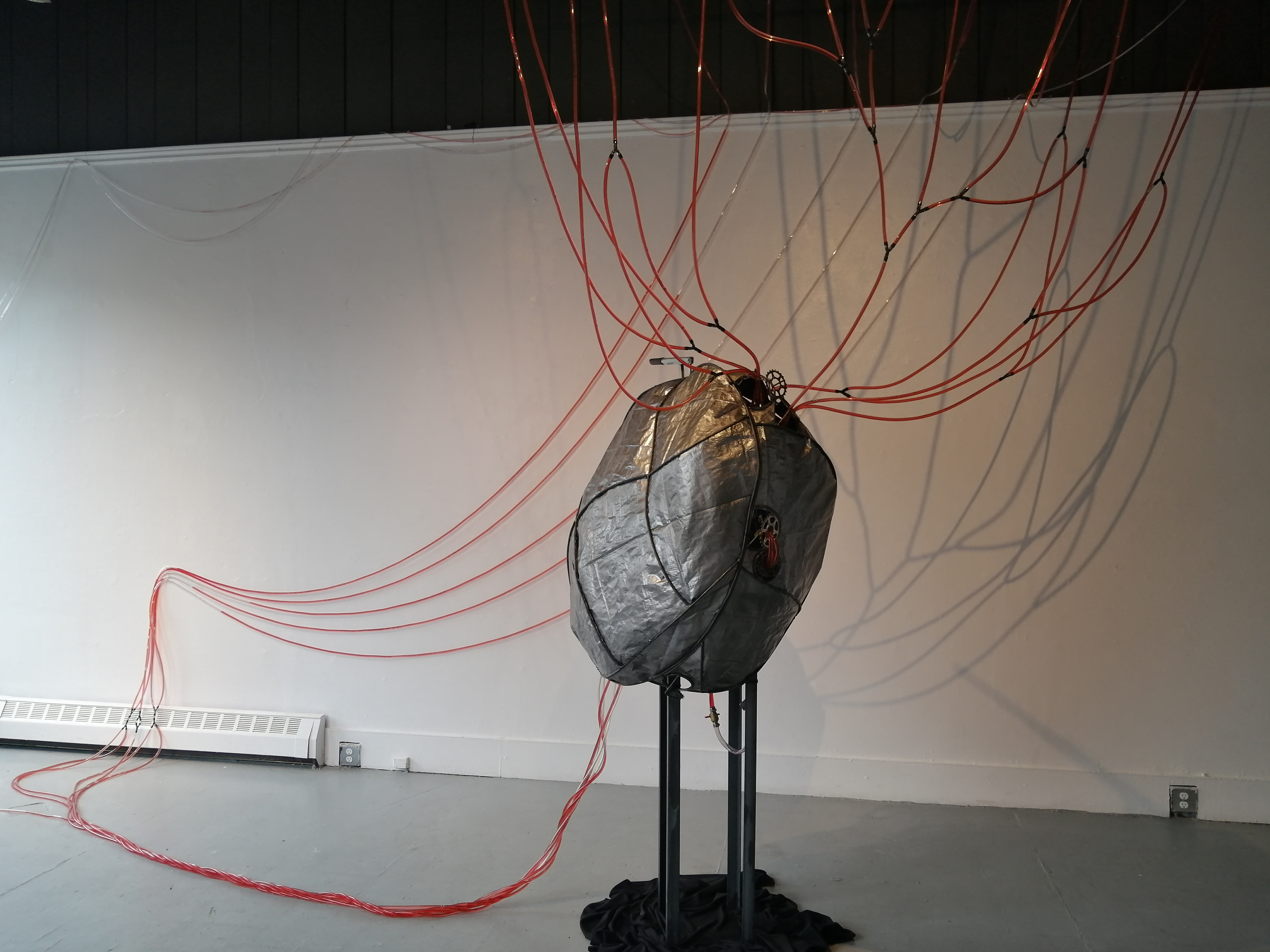 Installation by Ada Denil at the Anna Leonowens Gallery in 2020